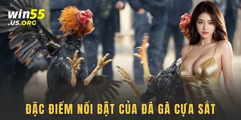 Đặc điểm nổi bật của đá gà cựa sắt