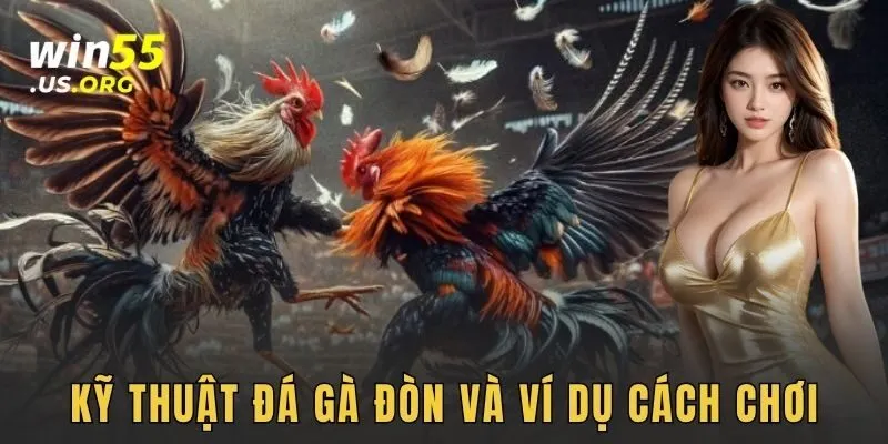Kỹ thuật đá gà đòn và ví dụ cách chơi