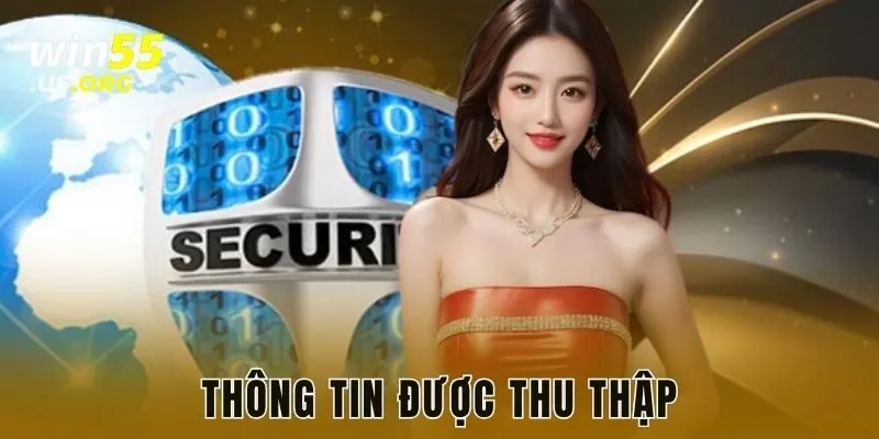 Thông tin được thu thập