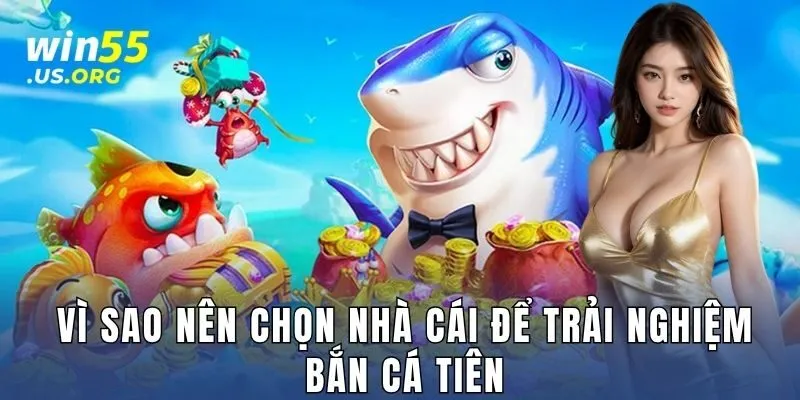 Vì sao nên chọn nhà cái để trải nghiệm bắn cá tiên